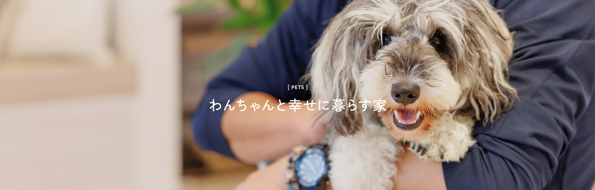 わんちゃんと幸せに暮らす家